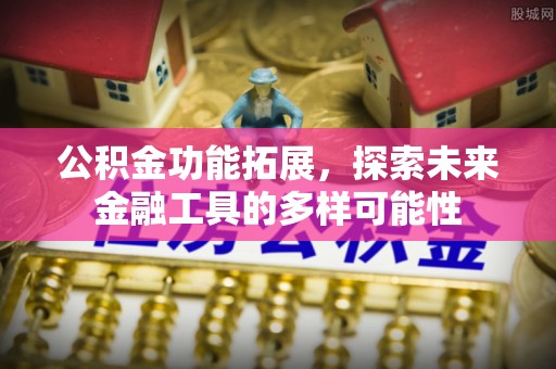 桃江公积金功能拓展，探索未来金融工具的多样可能性