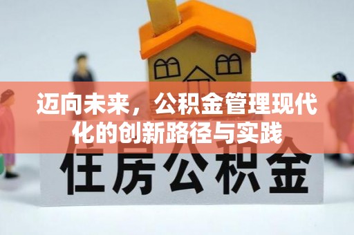 桃江迈向未来，公积金管理现代化的创新路径与实践