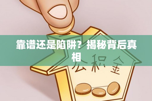 桃江靠谱还是陷阱？揭秘背后真相