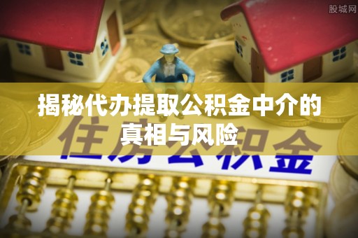 桃江揭秘代办提取公积金中介的真相与风险