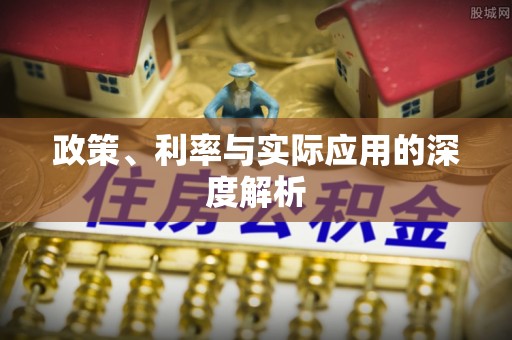 桃江政策、利率与实际应用的深度解析