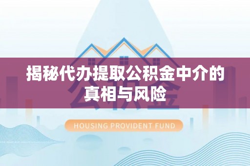 桃江揭秘代办提取公积金中介的真相与风险