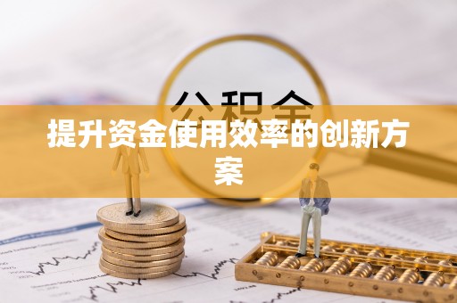桃江提升资金使用效率的创新方案