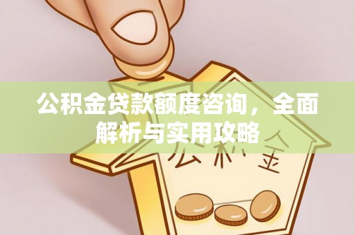 桃江公积金贷款额度咨询，全面解析与实用攻略
