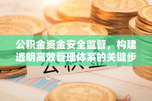 桃江公积金资金安全监管，构建透明高效管理体系的关键步骤