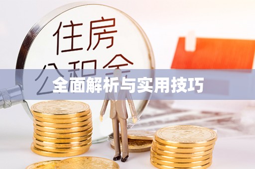 桃江全面解析与实用技巧