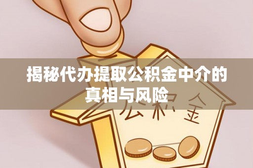 桃江揭秘代办提取公积金中介的真相与风险