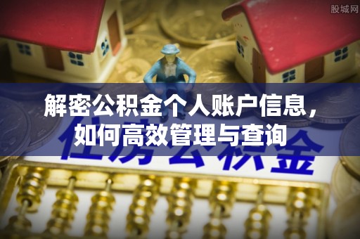 桃江解密公积金个人账户信息，如何高效管理与查询