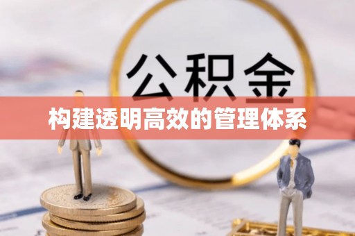 桃江构建透明高效的管理体系