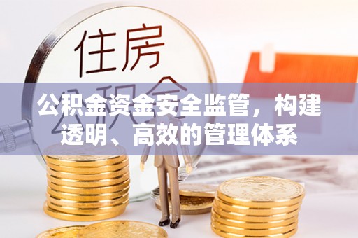 桃江公积金资金安全监管，构建透明、高效的管理体系