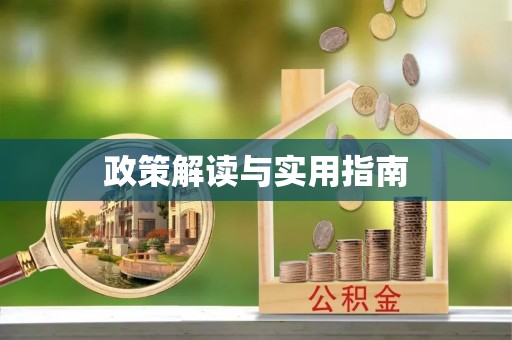 桃江政策解读与实用指南