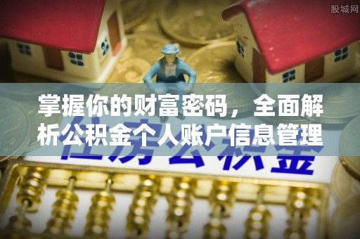 桃江掌握你的财富密码，全面解析公积金个人账户信息管理