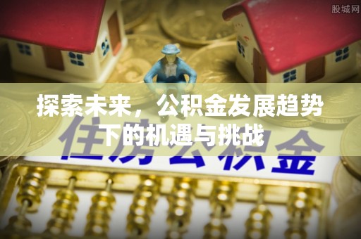 桃江探索未来，公积金发展趋势下的机遇与挑战