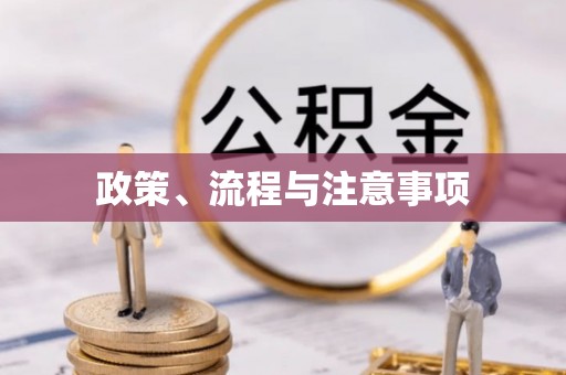 桃江政策、流程与注意事项