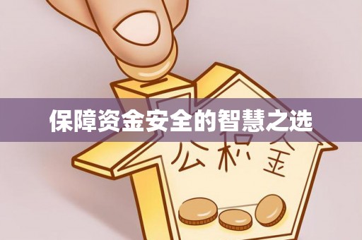 桃江保障资金安全的智慧之选