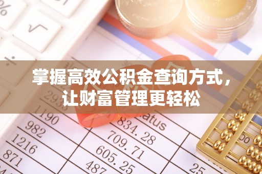 桃江掌握高效公积金查询方式，让财富管理更轻松