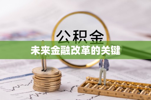 桃江未来金融改革的关键