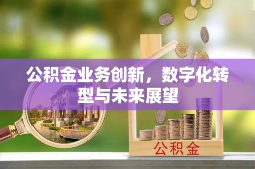 桃江公积金业务创新，数字化转型与未来展望