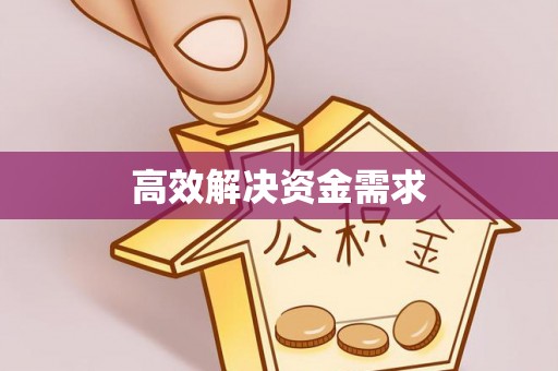 桃江高效解决资金需求