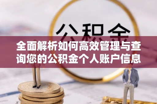桃江全面解析如何高效管理与查询您的公积金个人账户信息