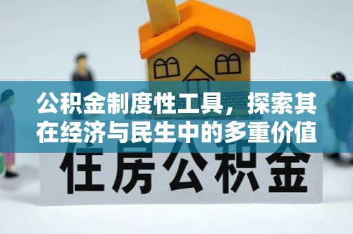 桃江公积金制度性工具，探索其在经济与民生中的多重价值