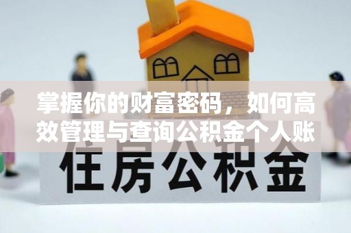 桃江掌握你的财富密码，如何高效管理与查询公积金个人账户信息