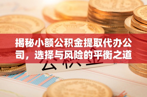 桃江揭秘小额公积金提取代办公司，选择与风险的平衡之道