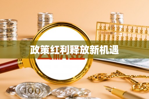 桃江政策红利释放新机遇