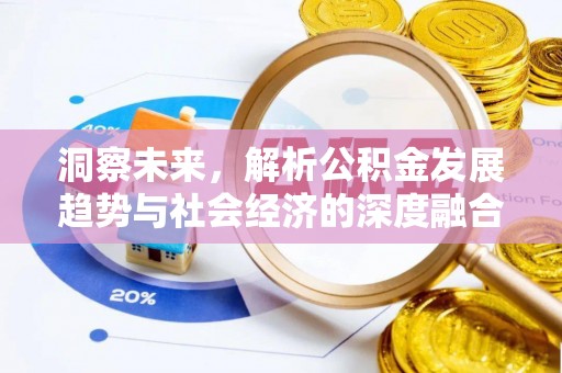 桃江洞察未来，解析公积金发展趋势与社会经济的深度融合
