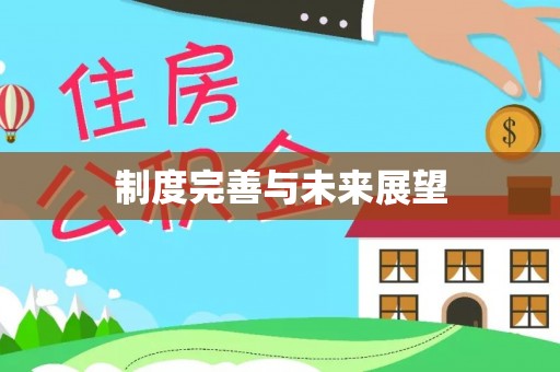 桃江制度完善与未来展望