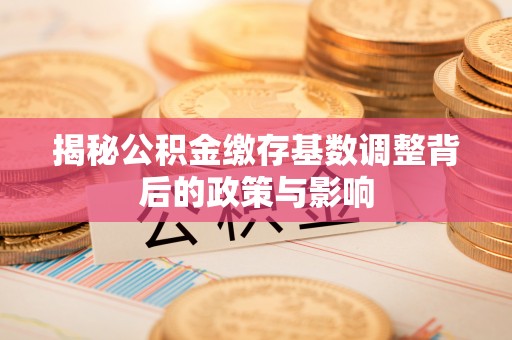 桃江揭秘公积金缴存基数调整背后的政策与影响