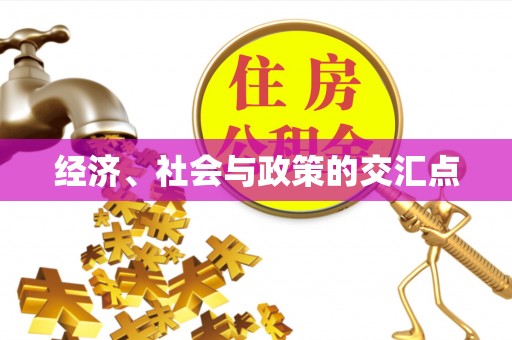桃江经济、社会与政策的交汇点