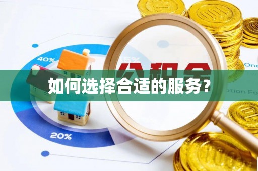 桃江如何选择合适的服务？