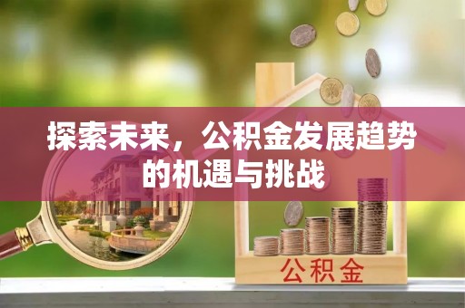 桃江探索未来，公积金发展趋势的机遇与挑战