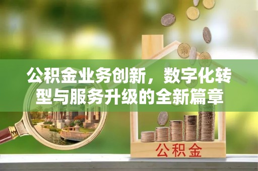 桃江公积金业务创新，数字化转型与服务升级的全新篇章