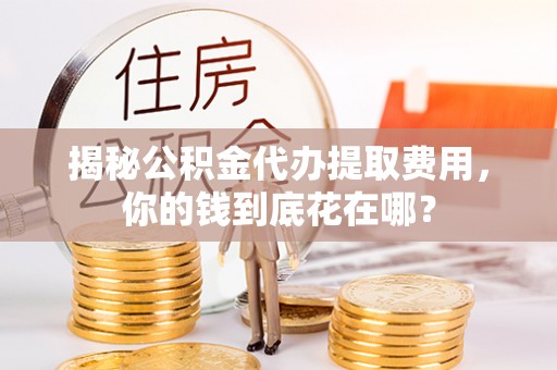 桃江揭秘公积金代办提取费用，你的钱到底花在哪？