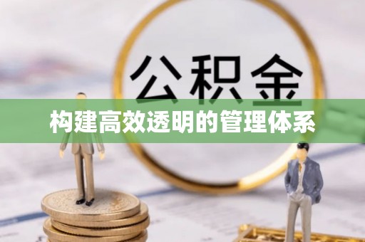 桃江构建高效透明的管理体系