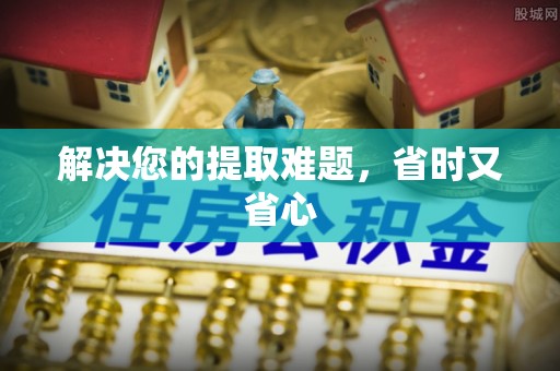 桃江解决您的提取难题，省时又省心
