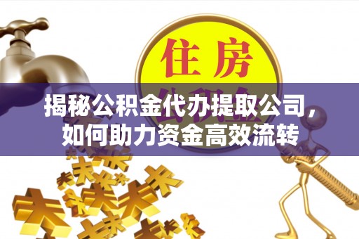 桃江揭秘公积金代办提取公司，如何助力资金高效流转