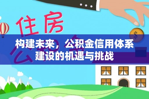 桃江构建未来，公积金信用体系建设的机遇与挑战