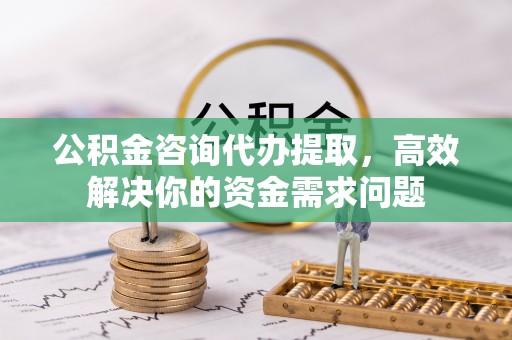 桃江公积金咨询代办提取，高效解决你的资金需求问题