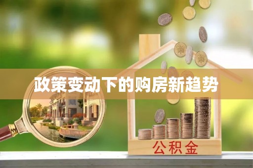 桃江政策变动下的购房新趋势