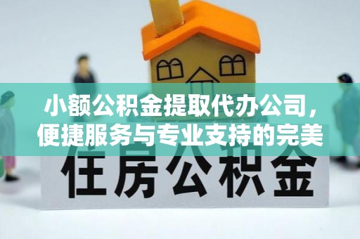 桃江小额公积金提取代办公司，便捷服务与专业支持的完美结合
