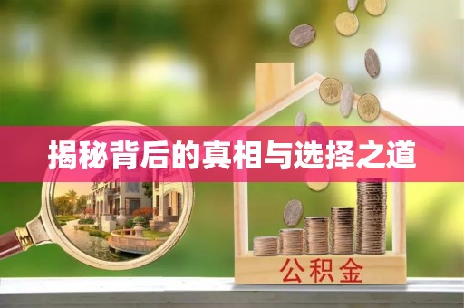 桃江揭秘背后的真相与选择之道