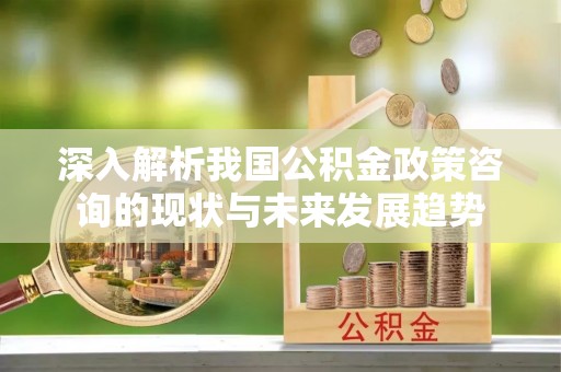 桃江深入解析我国公积金政策咨询的现状与未来发展趋势