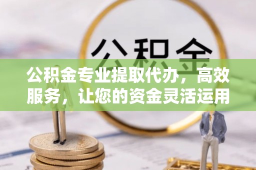 桃江公积金专业提取代办，高效服务，让您的资金灵活运用