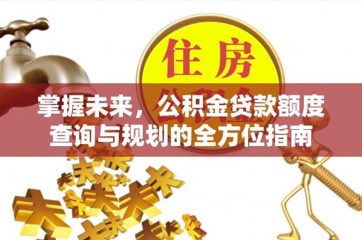 桃江掌握未来，公积金贷款额度查询与规划的全方位指南
