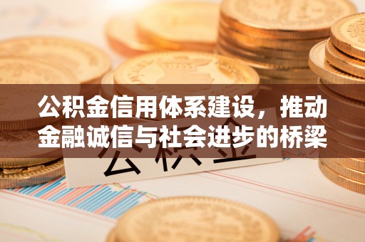 桃江公积金信用体系建设，推动金融诚信与社会进步的桥梁