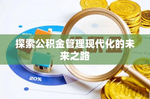 桃江探索公积金管理现代化的未来之路