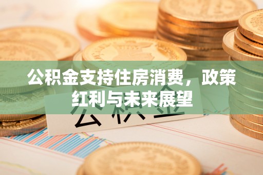 桃江公积金支持住房消费，政策红利与未来展望